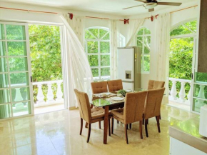 9br 6ba Large groups! Best location in town Walk to beach, 5th ave Cozumel ferry, shopping, nightlife! Roof plunge pool!! Castillo Playacar Fase 1 25max